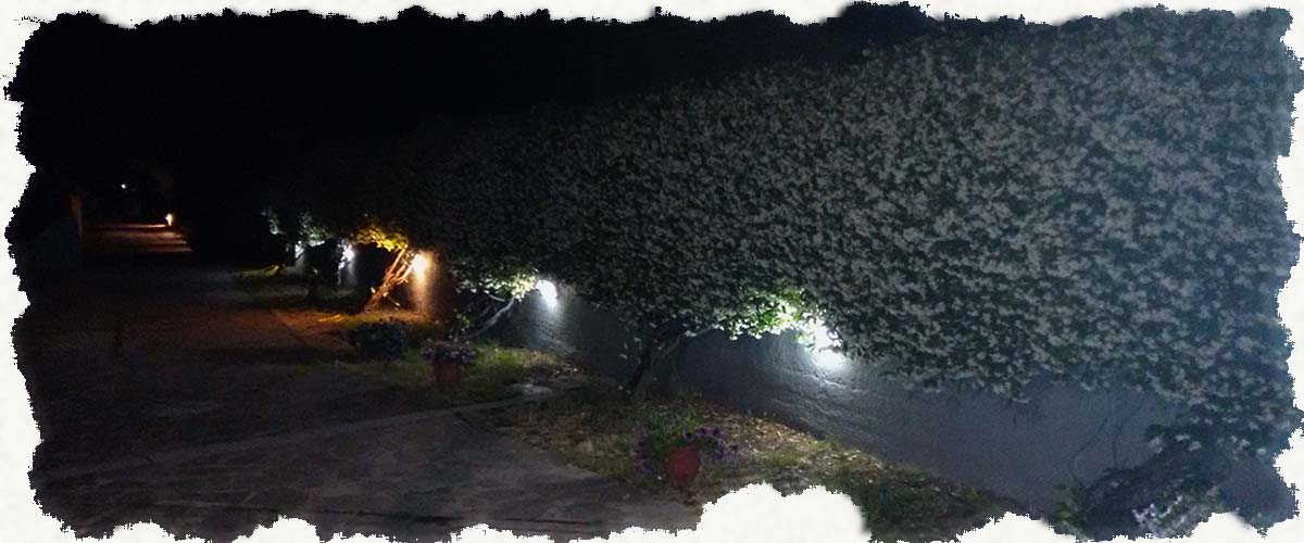 Villa Koukoudis Garden